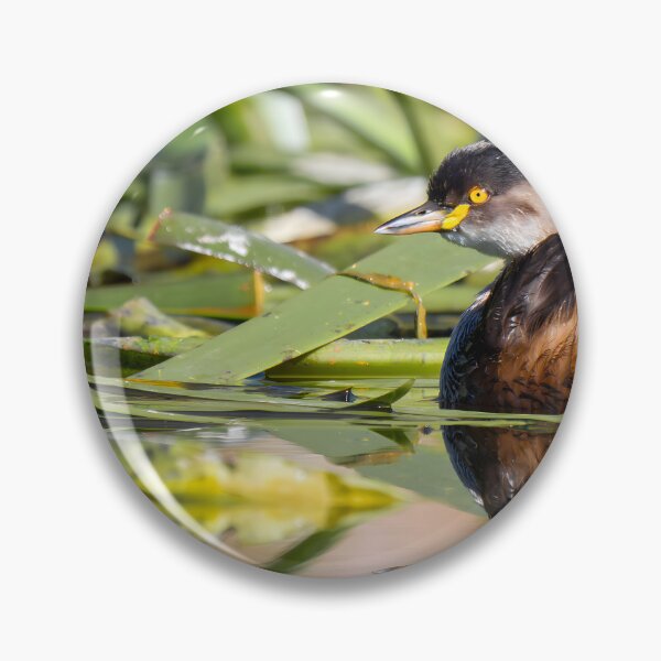 Item preview, Little Grebe designed and sold by andrewbensch.