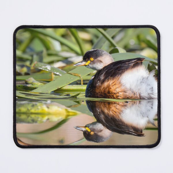 Item preview, Little Grebe designed and sold by andrewbensch.