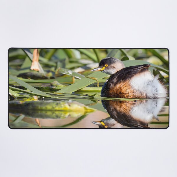 Item preview, Little Grebe designed and sold by andrewbensch.