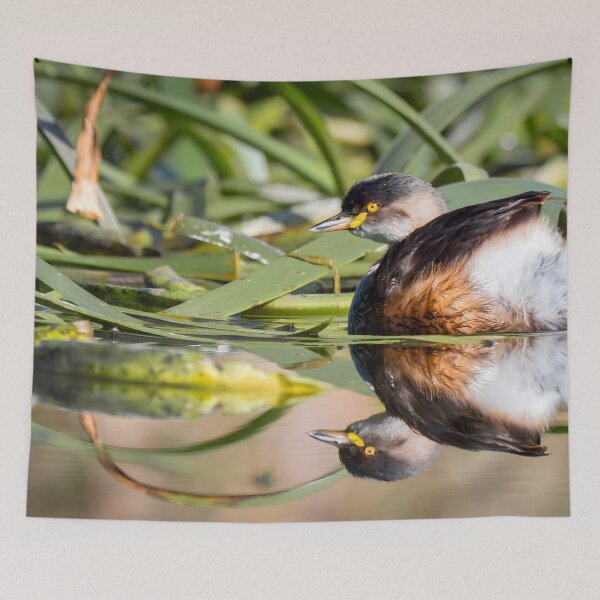 Item preview, Little Grebe designed and sold by andrewbensch.