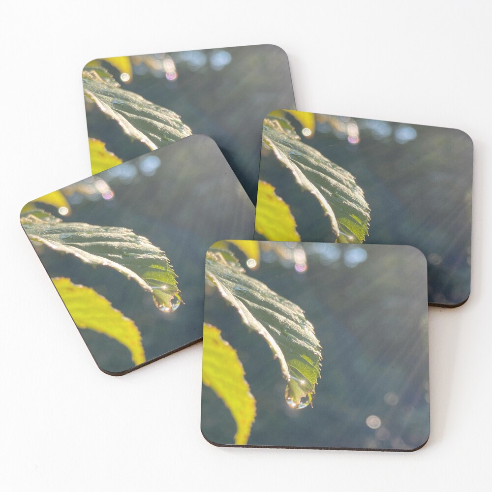 Item preview, Coasters (Set of 4) designed and sold by R-Rayton.