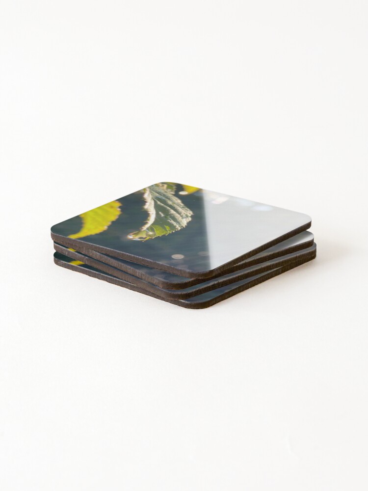 Thumbnail 4 of 5, Coasters (Set of 4), Sun Rays designed and sold by R-Rayton.