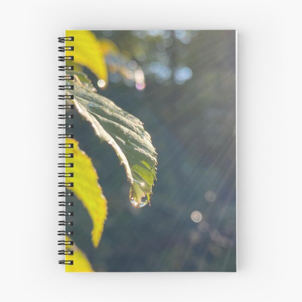 Item preview, Sun Rays designed and sold by R-Rayton.