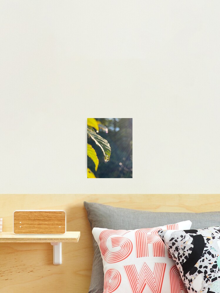 Thumbnail 2 of 3, Photographic Print, Sun Rays designed and sold by R-Rayton.