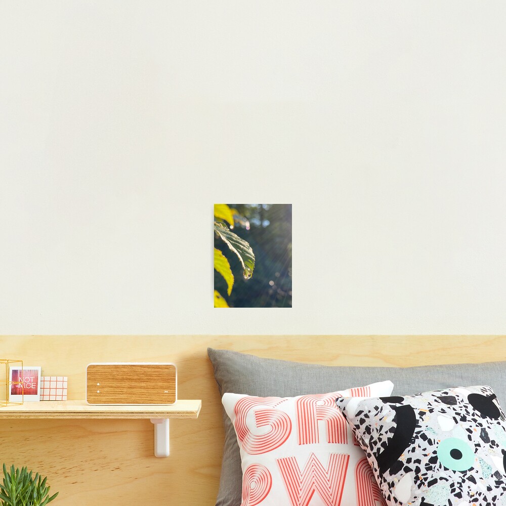 Item preview, Photographic Print designed and sold by R-Rayton.