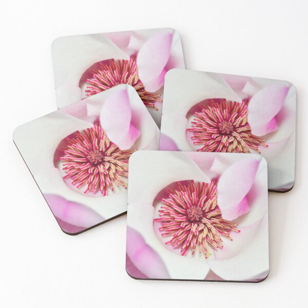 Item preview, Close-up of a white magnolia – photography designed and sold by LittleVenetia.