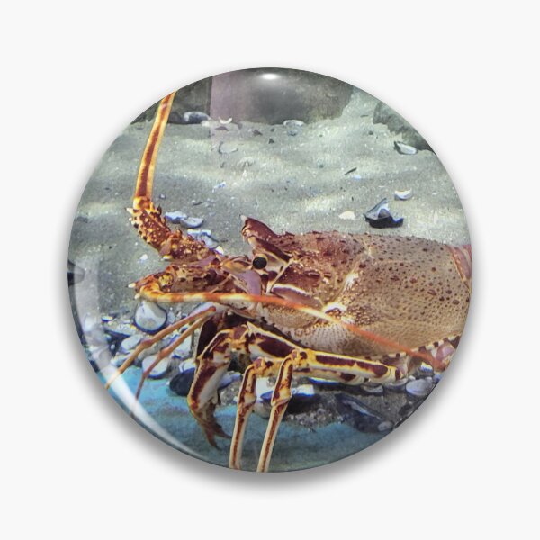 Item preview, Lobster designed and sold by megjayne-photos.