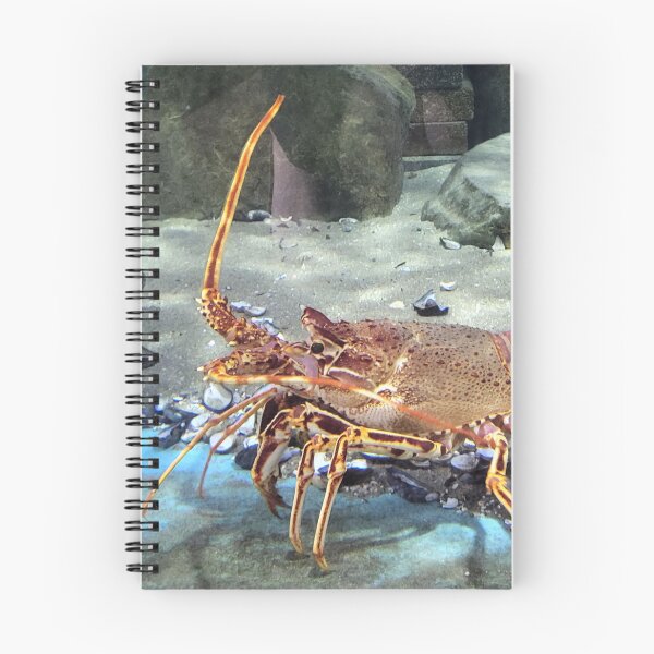 Item preview, Lobster designed and sold by megjayne-photos.