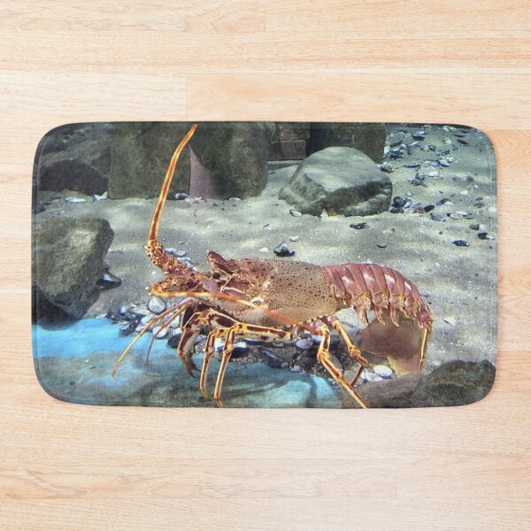Item preview, Lobster designed and sold by megjayne-photos.