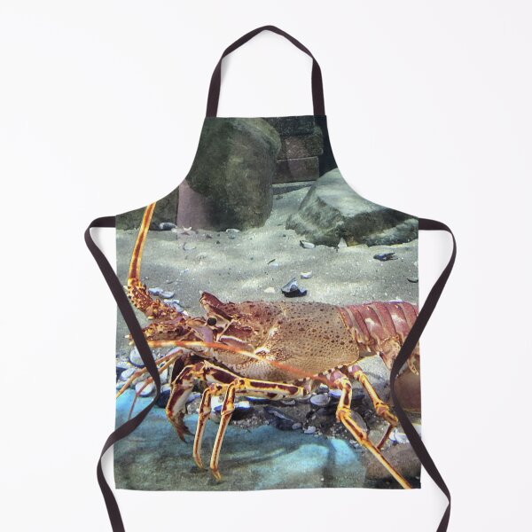 Item preview, Lobster designed and sold by megjayne-photos.