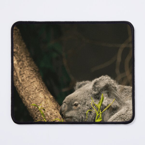 Item preview, Koala Australian Wildlife designed and sold by atinfiniTY.
