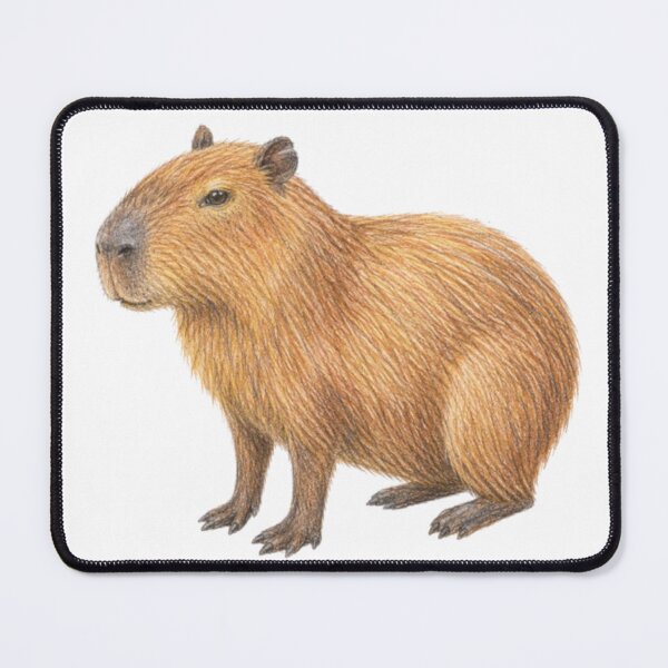 Item preview, Capybara pencil drawing designed and sold by JOANNASKAH.