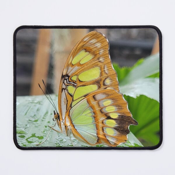 Item preview, Malachite Butterfly designed and sold by megjayne-photos.