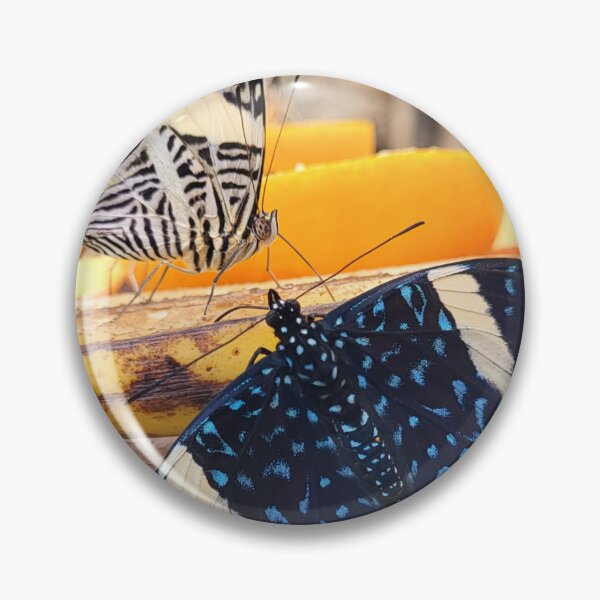 Item preview, Butterflies designed and sold by megjayne-photos.