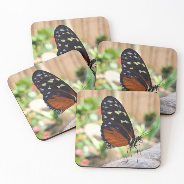 Item preview, Tiger Wing Butterfly designed and sold by megjayne-photos.