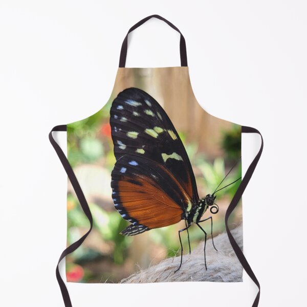 Item preview, Tiger Wing Butterfly designed and sold by megjayne-photos.