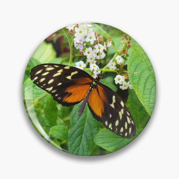 Artikelvorschau, Tigerflügel-Schmetterling auf einem Blatt entworfen und verkauft von megjayne-photos.