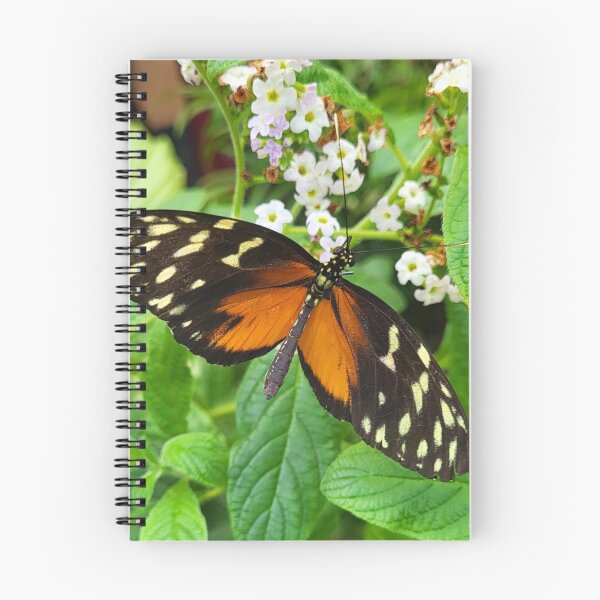 Item preview, Tiger Wing Butterfly on A Leaf designed and sold by megjayne-photos.