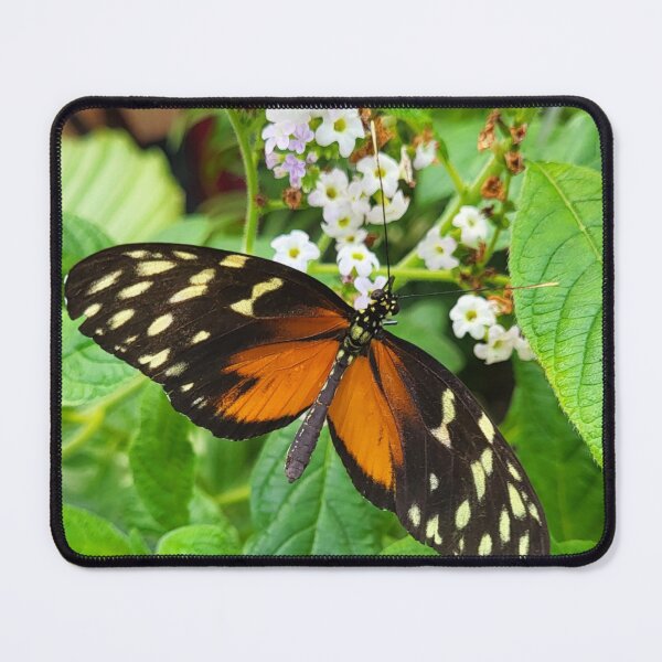 Item preview, Tiger Wing Butterfly on A Leaf designed and sold by megjayne-photos.