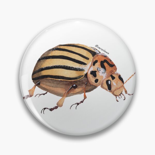 Item preview, potato beetle watercolor designed and sold by veroslawa.