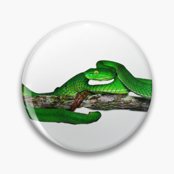 Item preview, snake designed and sold by MixsyM.