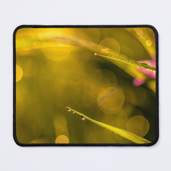 Item preview, Morning Dew on Grass Blades designed and sold by Veikko  Suikkanen.