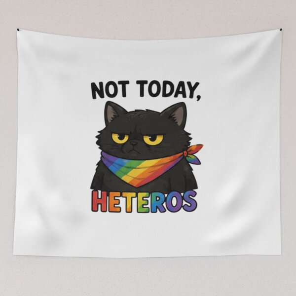 Item preview, Not Today, Heteros Grumpy Cat Pride designed and sold by Pixanova.