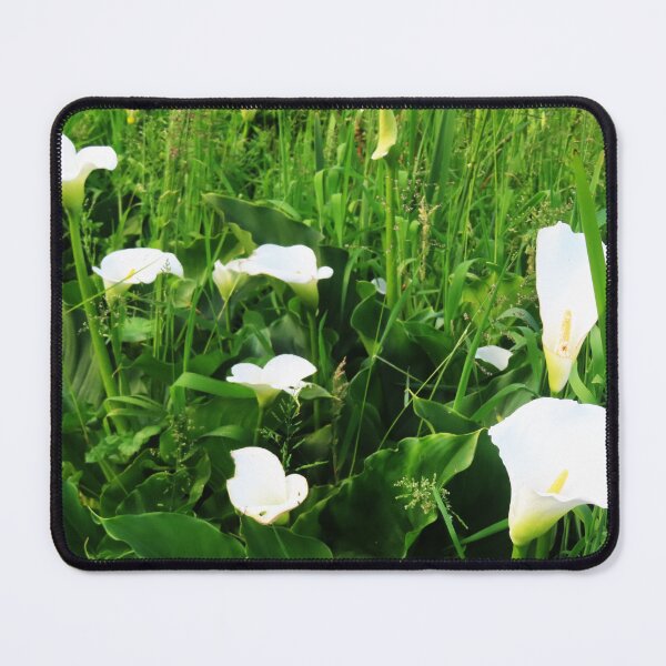 Item preview, The beauty of Arum lilies designed and sold by ART22.