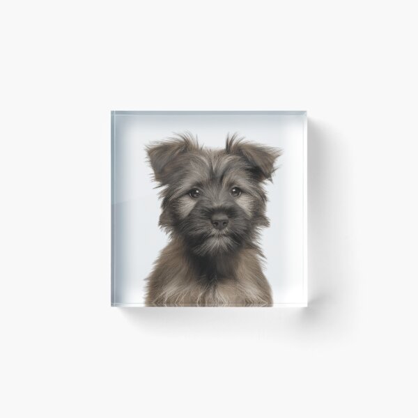 Item preview, Adorable Skye Terrier puppy for Cute Skye Terrier puppy lovers designed and sold by LazyOwlStore.