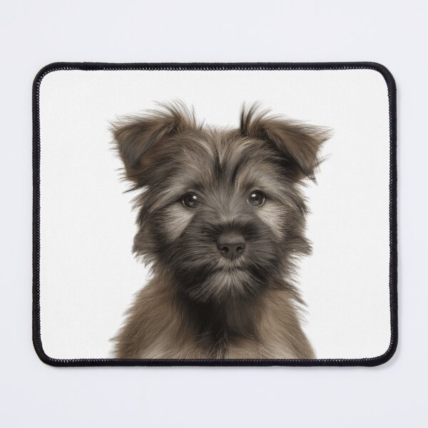 Item preview, Adorable Skye Terrier puppy for Cute Skye Terrier puppy lovers designed and sold by LazyOwlStore.