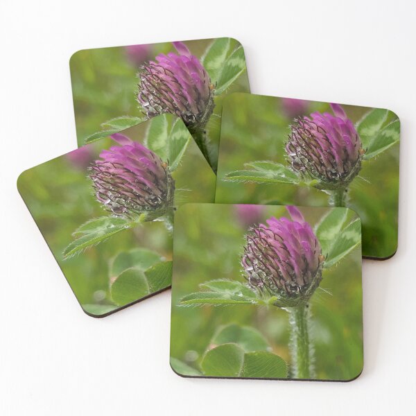 Item preview, Raindrop Clover designed and sold by MaddysMStudio.