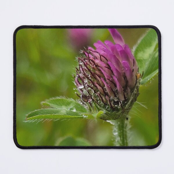 Item preview, Raindrop Clover designed and sold by MaddysMStudio.