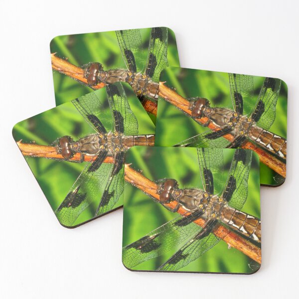 Item preview, Common Whitetail designed and sold by MaddysMStudio.
