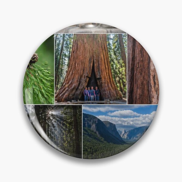 Item preview, Sequoia Forests designed and sold by Bebe5512.