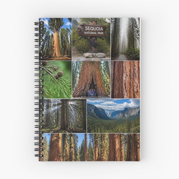 Item preview, Sequoia Forests designed and sold by Bebe5512.