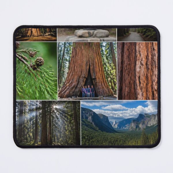 Item preview, Sequoia Forests designed and sold by Bebe5512.