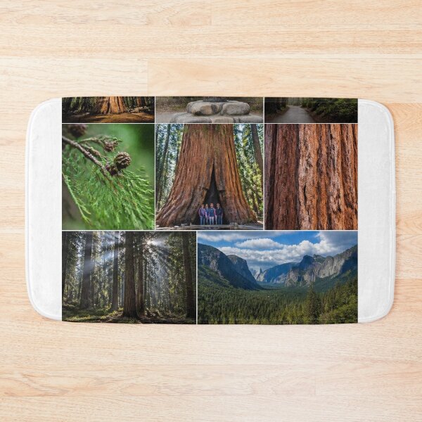 Item preview, Sequoia Forests designed and sold by Bebe5512.