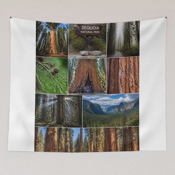 Item preview, Sequoia Forests designed and sold by Bebe5512.