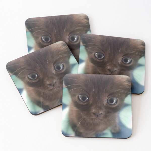 Item preview, Black cat magic with mini panther Hershey designed and sold by nxxbliss.