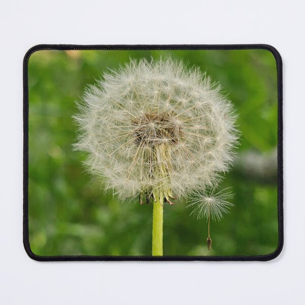 Item preview, Make A Wish designed and sold by MaddysMStudio.