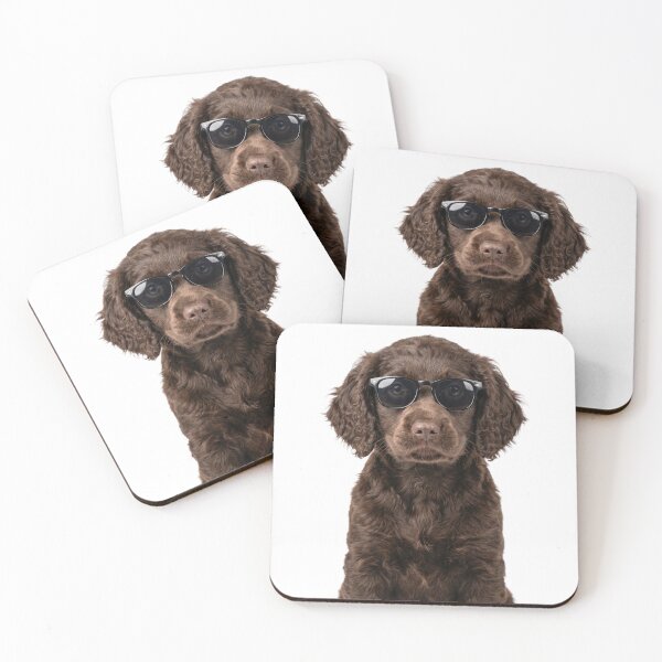 Item preview, Cute Baby Boykin Spaniel Dog Wearing Sunglasses Funny designed and sold by RareLavender.