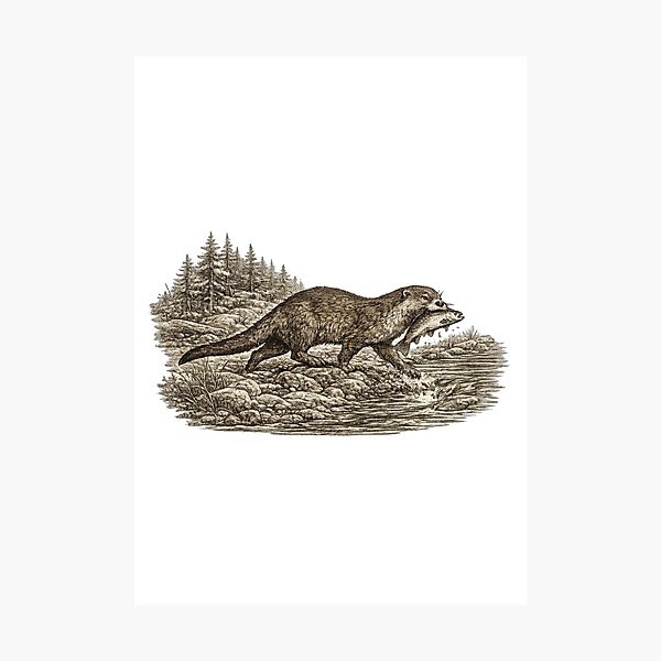 Item preview, River Otter Carrying a Fish designed and sold by KrungiT Design .