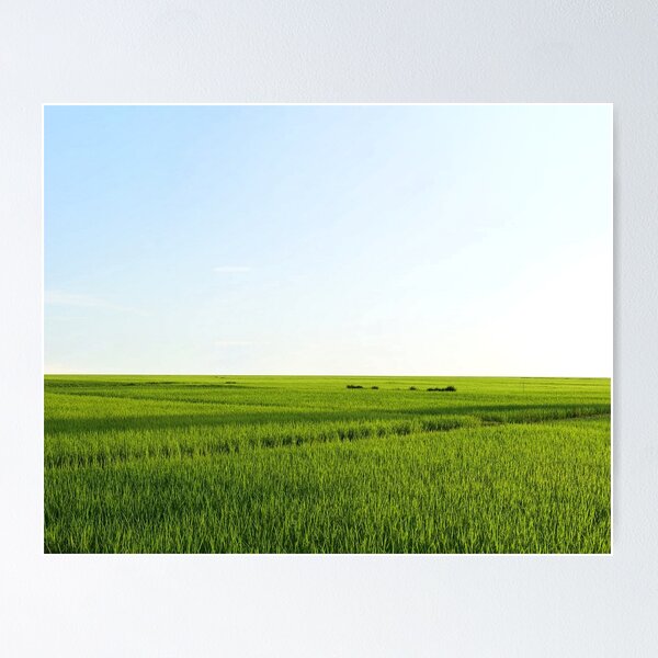 Artikelvorschau, Reisfeld und blauer Himmel entworfen und verkauft von kkdesign2527.