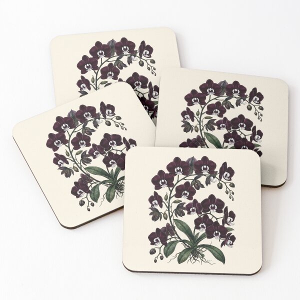 Item preview, Vintage Phalaenopsis Orchid Moody Botanical Illustration designed and sold by LinaValearte.