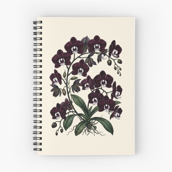 Item preview, Vintage Phalaenopsis Orchid Moody Botanical Illustration designed and sold by LinaValearte.