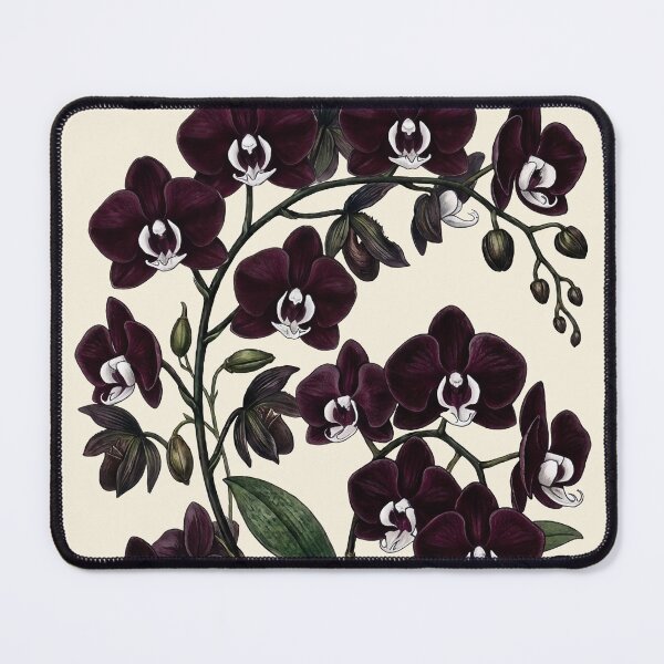 Item preview, Vintage Phalaenopsis Orchid Moody Botanical Illustration designed and sold by LinaValearte.