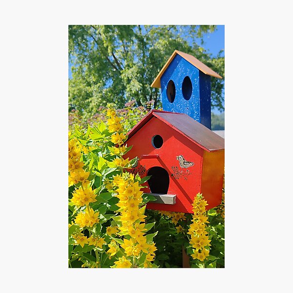 Item preview, Cozy Red and Blue Birdhouses with Yellow Flowers designed and sold by TaJeKoRe.