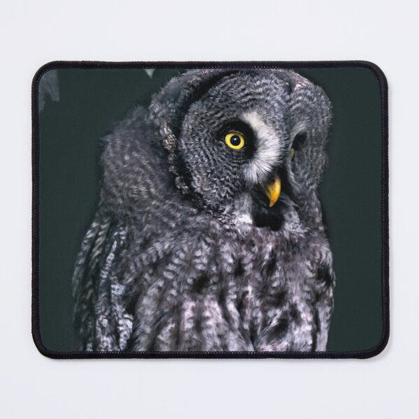 Item preview, Great Grey Owl Halloween Wildlife Art designed and sold by Vac1.