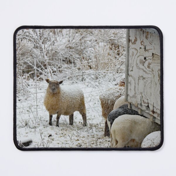 Item preview, Give me Shelter designed and sold by Illuminations of Nature.