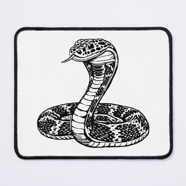Item preview, Black and White Cobra Snake Illustration – Bold Wildlife Transparent Wall Art designed and sold by ShadeScapeArt.